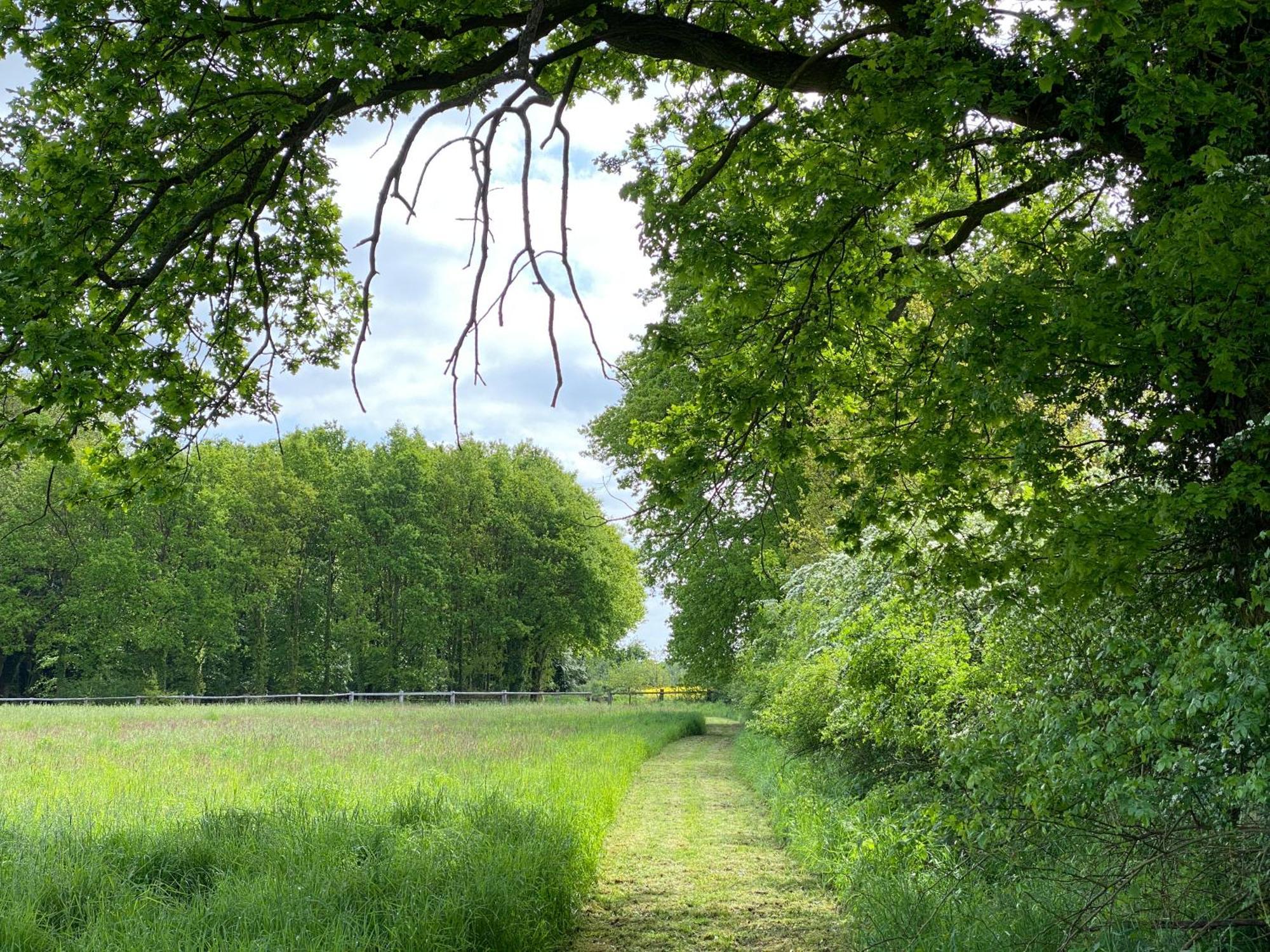 Ferienhaeuser Weitblick Gilten Екстериор снимка
